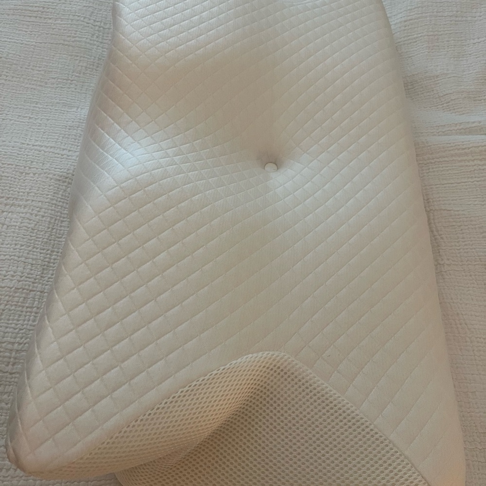 ORNATERA Pillow - Picture 2 of 5